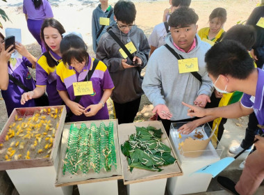 โครงการทัศนศึกษาเพื่อเสริมสร้างประสบการณ์ด้านการสหกรณ์แก่ครูและนักเรียนในโรงเรียนฯ ประจำปีงบประมาณ พ.ศ. 2567 ... พารามิเตอร์รูปภาพ 6